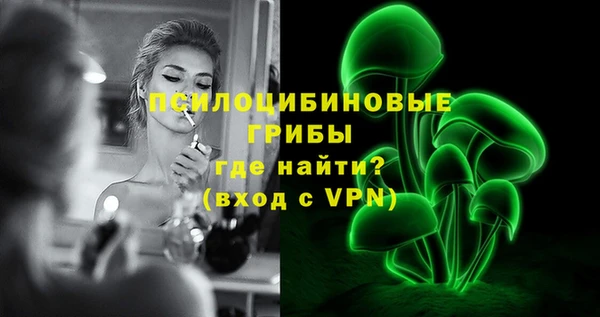 СК Богородицк