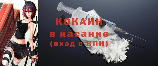 сатива Богданович