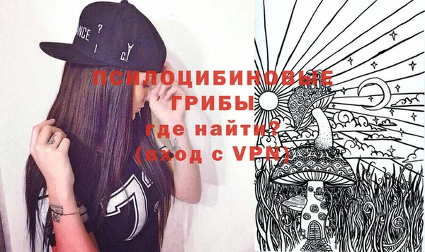 гидропоника Белокуриха