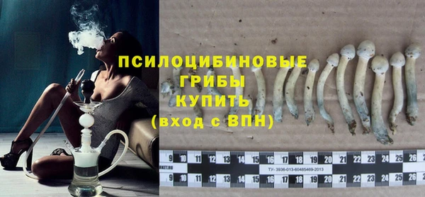мяу мяу мука Беломорск
