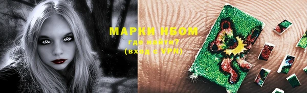 гидропоника Белокуриха
