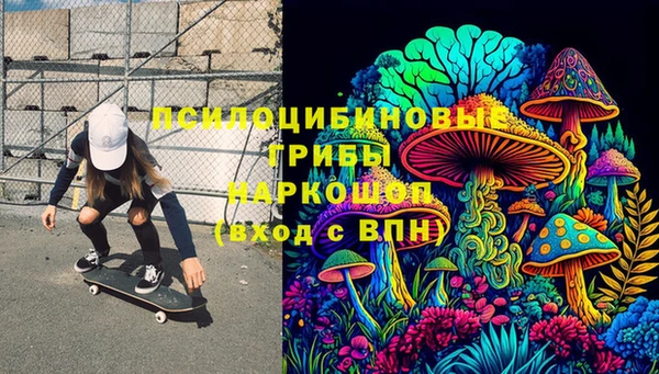 гидропоника Белокуриха