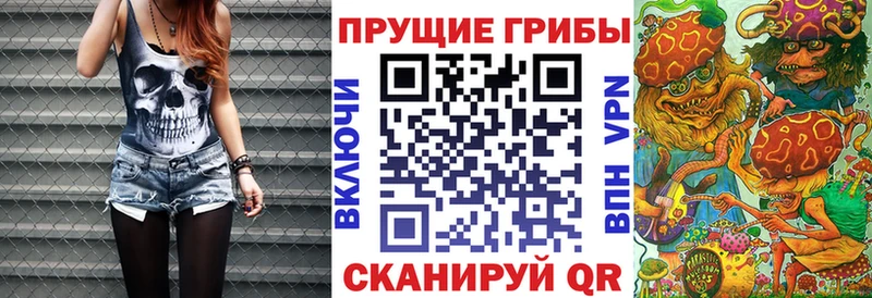 Галлюциногенные грибы MAGIC MUSHROOMS  Буйнакск 